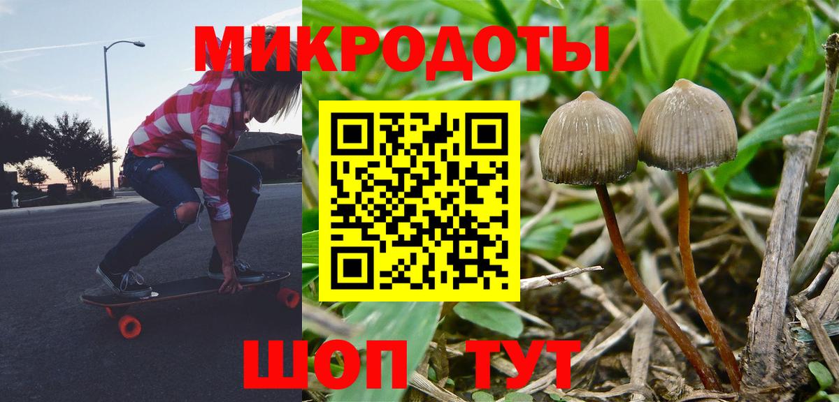 Галлюциногенные грибы Psilocybine cubensis Асино